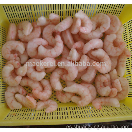Solenocera congelado Melantho Red Shrimp Pud 30/50 50/70